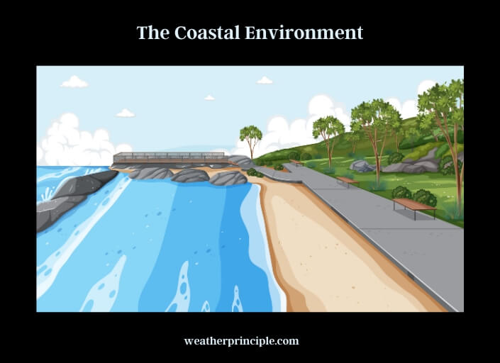 the coastal environment