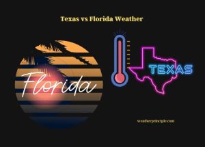 texas vs florida weather
